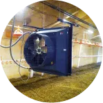 Electrical & Water Systems