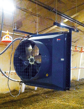 Electrical & Water Systems