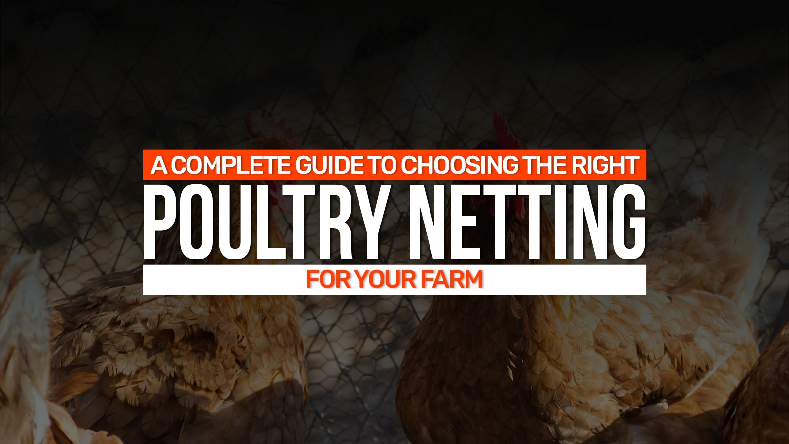 Chicken Neting A Complete Guide to Choosing the Right Poultry Netting